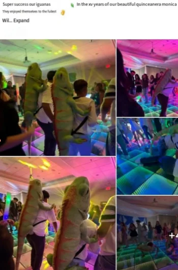 Led Dance Floor For Sale reference image 10